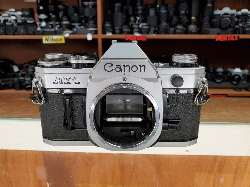 Canon AE-1, 35mm SLR Film Camera, Fresh CLA, New Light Seals, Warranty - Paramount Camera & Repair