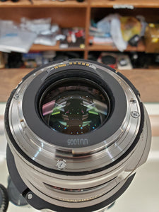 Canon EF 28-300mm f/3.5-5.6L IS USM Lens - Pro Full Frame Telephoto - Used Condition 9/10 - Paramount Camera & Repair