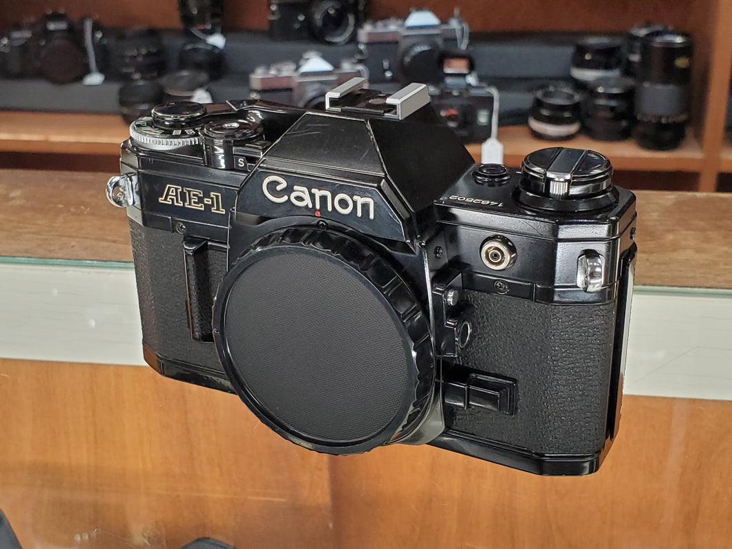 Black Canon AE-1, 35mm SLR Film Camera, Fresh CLA, Light Seals, Warranty, Canada - Paramount Camera & Repair